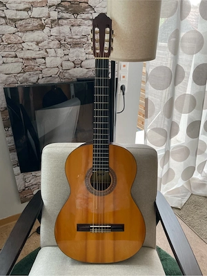 Akustische Gitarre
