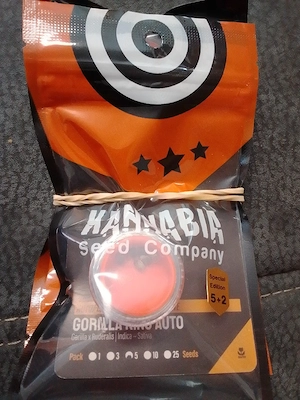 Gorilla King Auto 5+2  Hanfsamen 