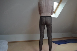 Suche Rittmeister