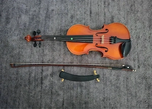 Geige Violine