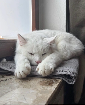 Ekh Kater 