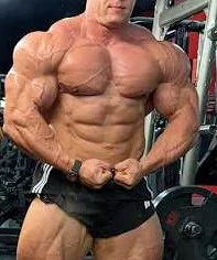 Suche geladene Bodybuilder auf Stoff wie im Bild 