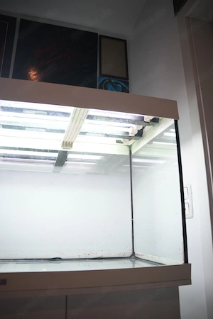 JUWEL Rio 300 Aquarium  Bild 5