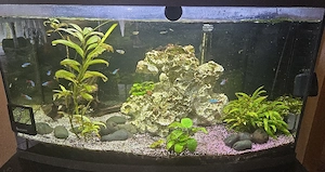 Aquarium ohne Tiere und Pflanzen