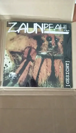 Zaunpfahl Gesicht - Schallplatte Vinyl 