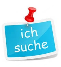 Königspython Classic gesucht 