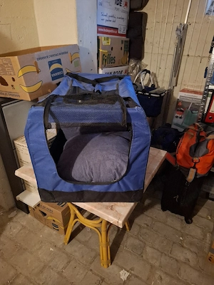 Tiertransportbox Bild 3