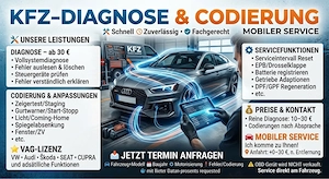 Fahrzeugdiagnose & Codierung  ab 25EUR