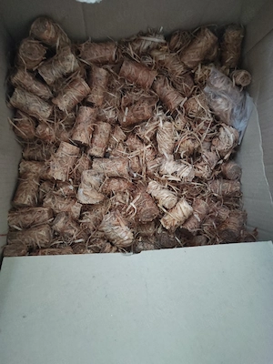 Grills Zünder pro Stück 30 Cent 