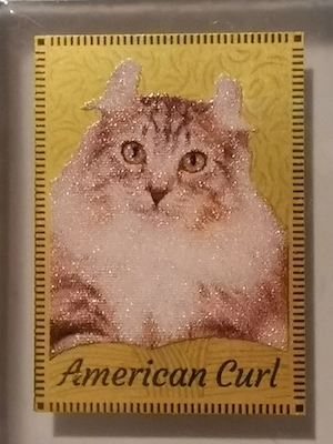 Goldbarren "Family Cats - American Curl" 1 500 oz 999er Feingold mit Zertifikat