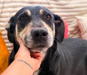 Maggie - wer gibt ihr eine Chance?