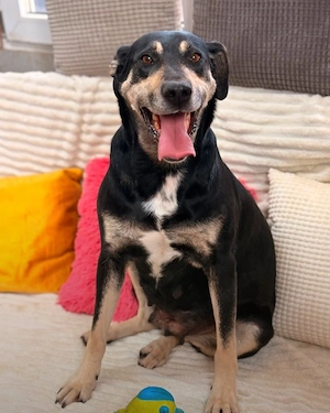 Maggie - wer gibt ihr eine Chance? Bild 3