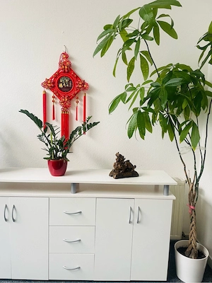 rein in die Entspannung |  Chinesische Massage bei Lili Düsseldorf Bild 5