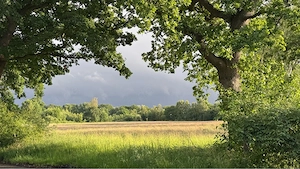 Suche Koppel zum Kauf 