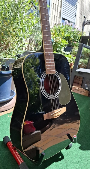 Sherwood Western Akustik Gitarre