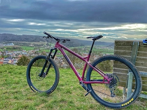 MTB Ragley big AL 29Zoll neuwertig. 