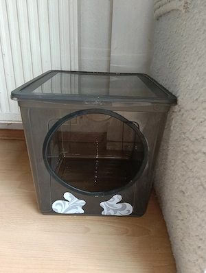 Katzentoilette Haubentoilette