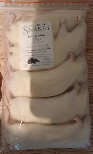 Frostfutter Frostratten zu verschenken 