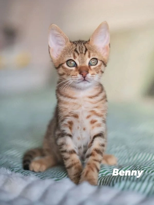 Reema & Benny Traumpärchen sucht sein Paradies Bild 8