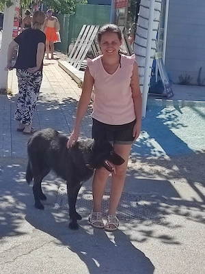 Schäferhund sucht neues Zuhause 