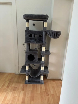katzenbaum