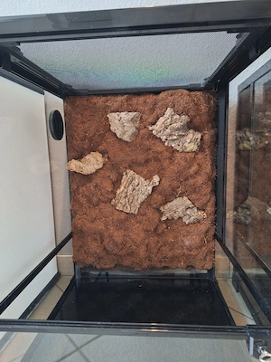 Repti Zoo Terrarien 45x45x60 mit wasserfester Kork-Rückwand Bild 4