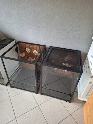 Repti Zoo Terrarien 45x45x60 mit wasserfester Kork-Rückwand