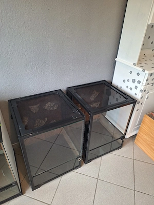 Repti Zoo Terrarien 45x45x60 mit wasserfester Kork-Rückwand Bild 2