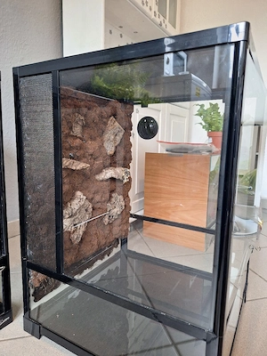 Repti Zoo Terrarien 45x45x60 mit wasserfester Kork-Rückwand Bild 6