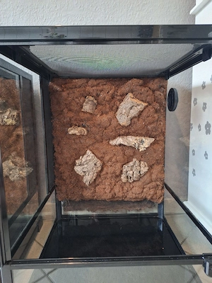 Repti Zoo Terrarien 45x45x60 mit wasserfester Kork-Rückwand Bild 5