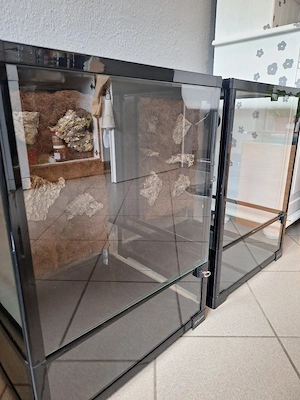 Repti Zoo Terrarien 45x45x60 mit wasserfester Kork-Rückwand Bild 3
