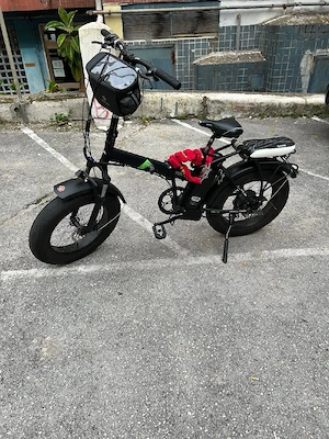 Elektrofahrrad 