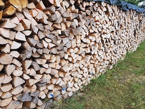 Brennholz 