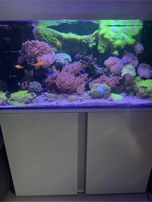 Meerwaseraquarium 250L - set