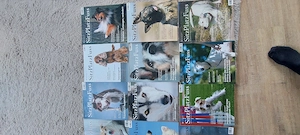 Hundefachzeitschriften 18x SitzPlatzFuss + 4x andere Zeitschriften
