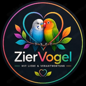    Kostenlose Aufnahme von Zier- und Volierenvögeln