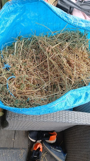 Nagerkäfig, Hamsterkäfig, Käfig  Bild 5