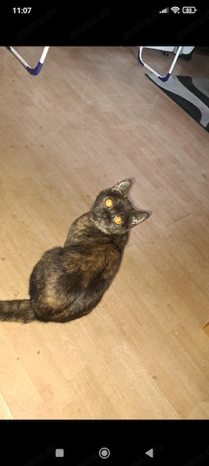 lotti vermisst seit 1.12.2025 Bild 2