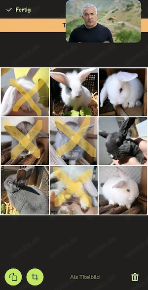 Zwergwiddermix Babys - ab August dürfen wir ausziehen !  