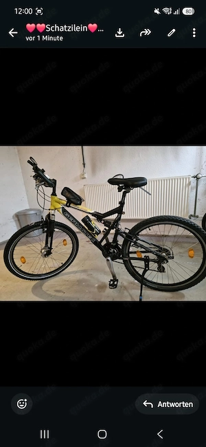 Herren Mountainbike 26 Zoll von Germatec Gelb-Schwarz Funktioniert Einwandfrei 