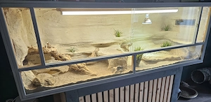 OSB Terrarium 180x60x60cm mit Rückwand 