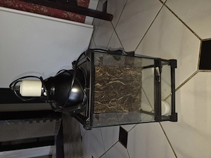 Terrarium mit Zubehör 
