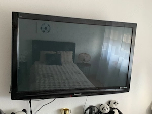 Plasma Fernseher 
