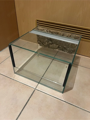 Falltür-Terrarien Bild 2