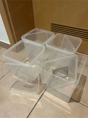 Falltür-Terrarien Bild 5