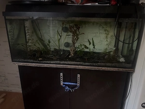 aquarium 120l