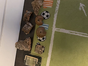 Terraristik Zubehör zu verkaufen
