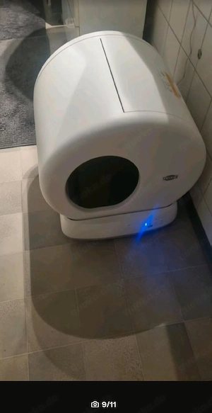 Elektriker für Katzen