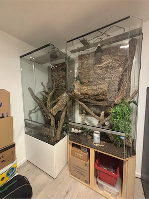 Verkaufe Terrarium 