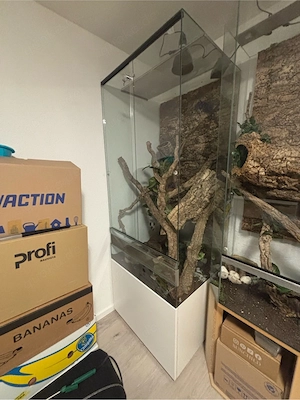 Verkaufe Terrarium 